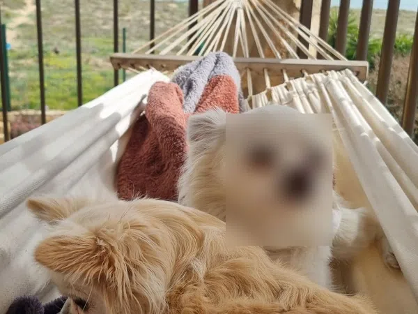 Casa independiente en sector 2b, 2 - Foto 9