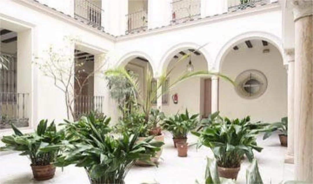 Apartamento en Centro - Foto 7