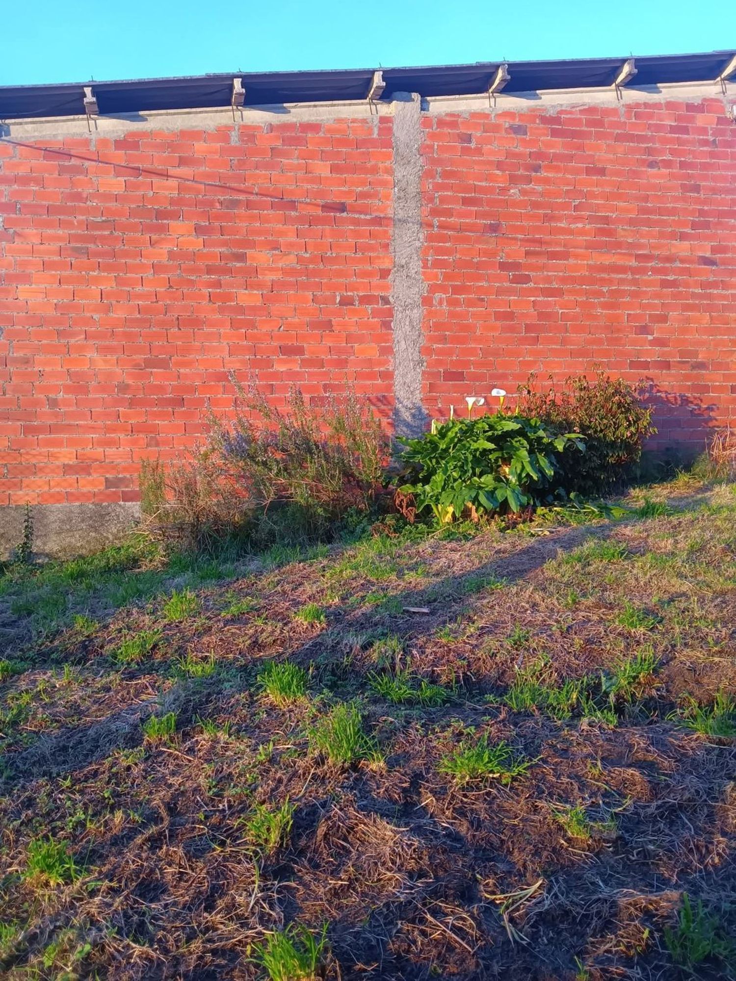 Casa de pueblo en Pastoriza s/n - Foto 7