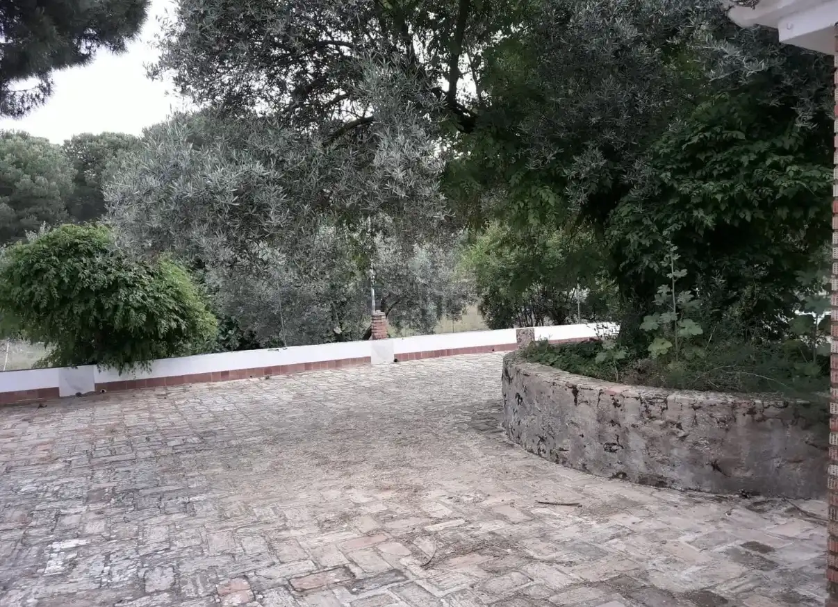 Finca rústica en  Avenida de Andalucía 7 - Foto 3