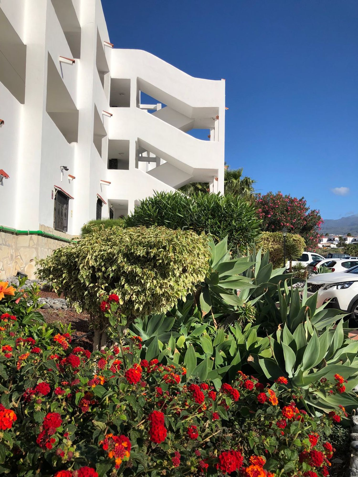 Piso en Avenida María Ángeles Ascanio Cullen, 15 B3, Golf del Sur-Amarilla Golf, Golf del Sur-Amarilla Golf - Foto 13