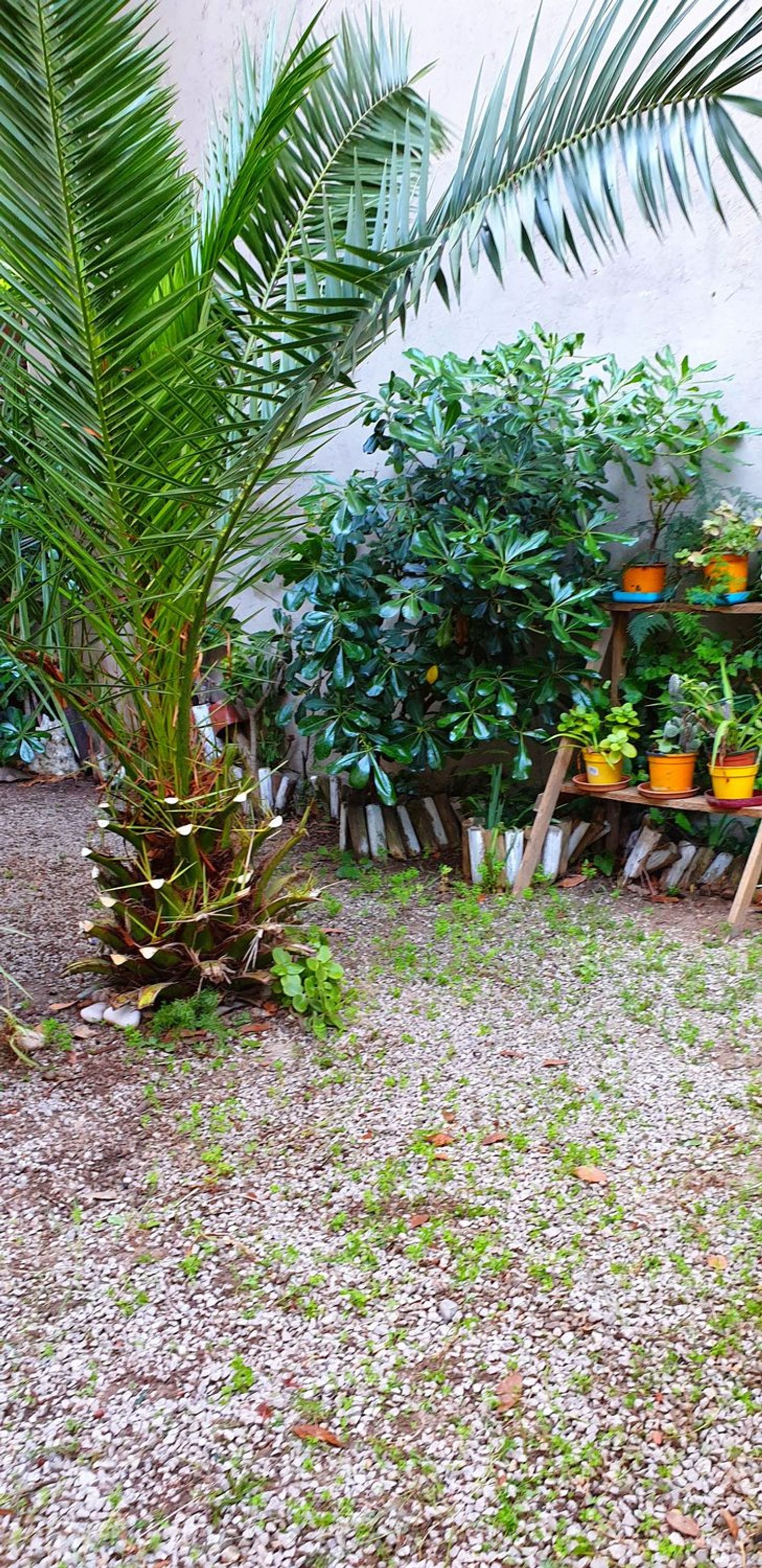 Chalet adosado en avenida dels Pins, 23 - Foto 8