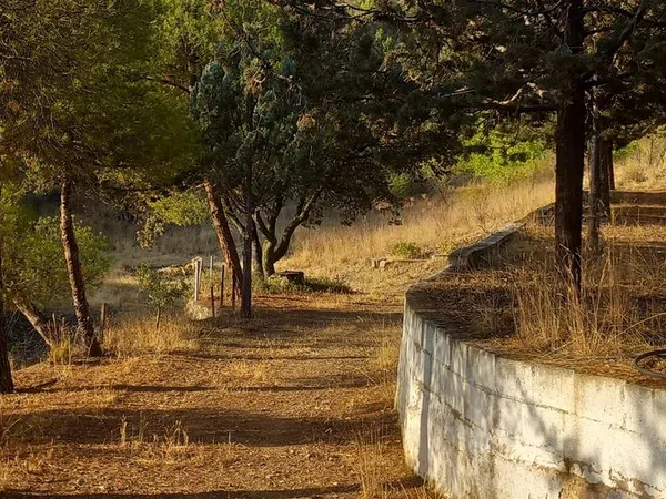 Finca rústica en Carretera de San Antonio s/n - Foto 20