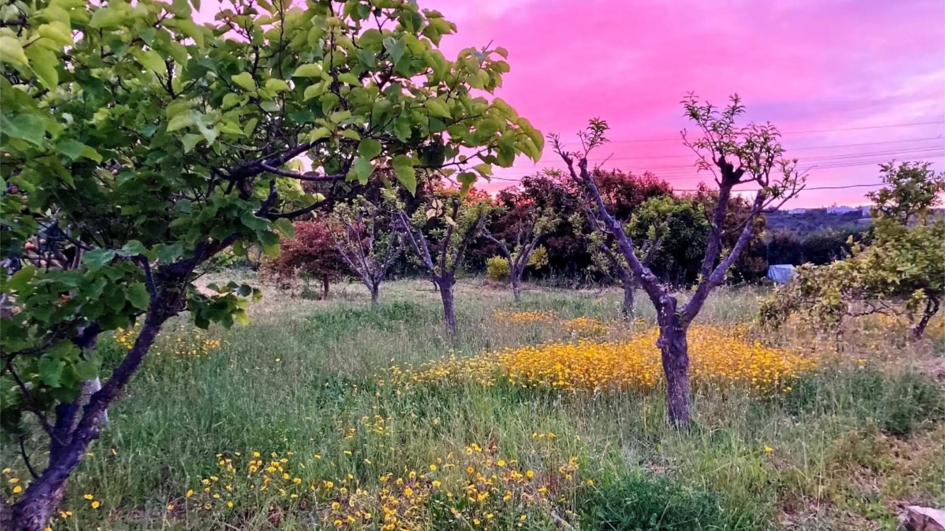 Chalet en  Lugar Pinar de Ojeda 24 - Foto 26