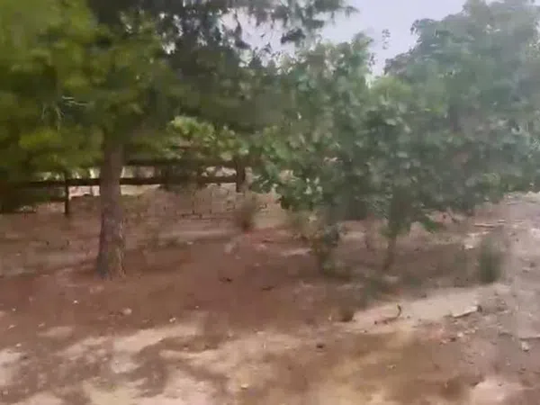 Finca rústica en Carril los González y los Pérez, 40, Cañadas de San Pedro - Foto 35