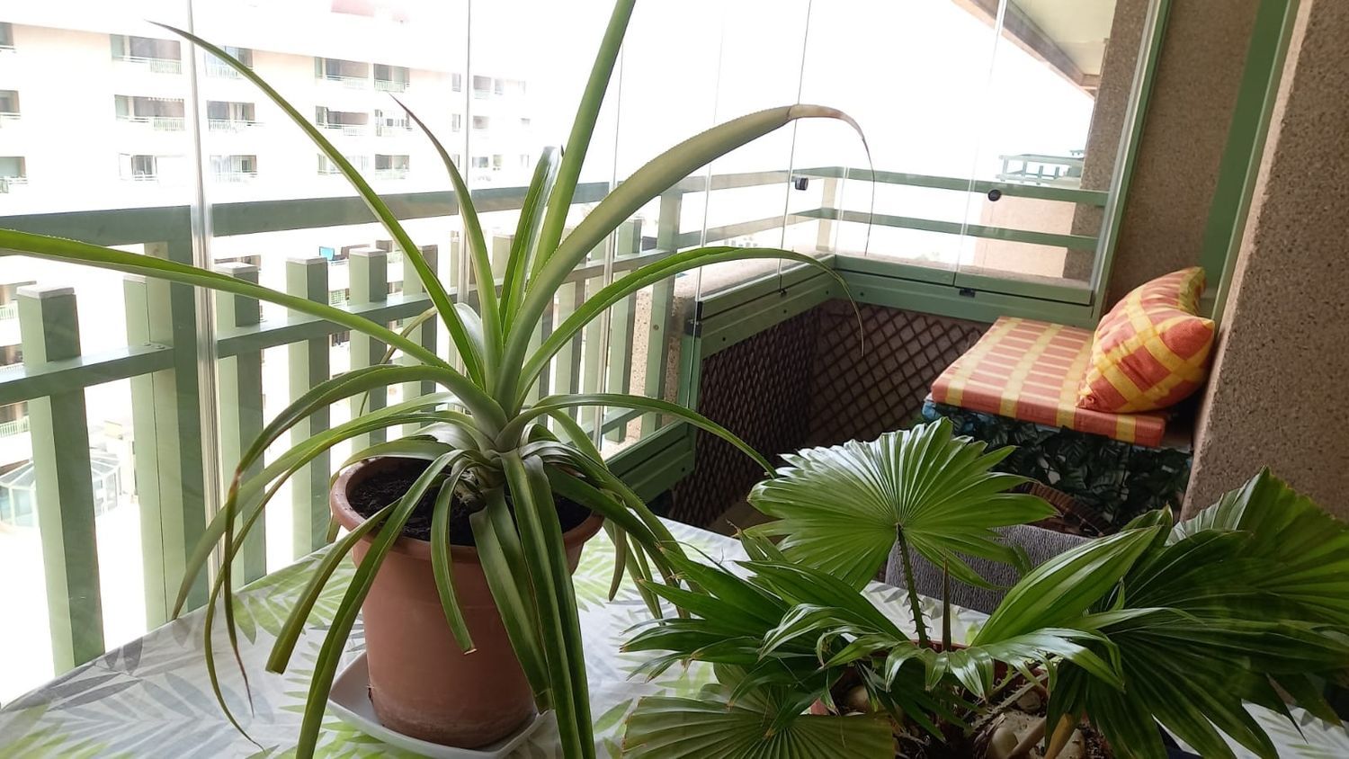 Piso en avenida Mare Nostrum, 7 - Foto 5