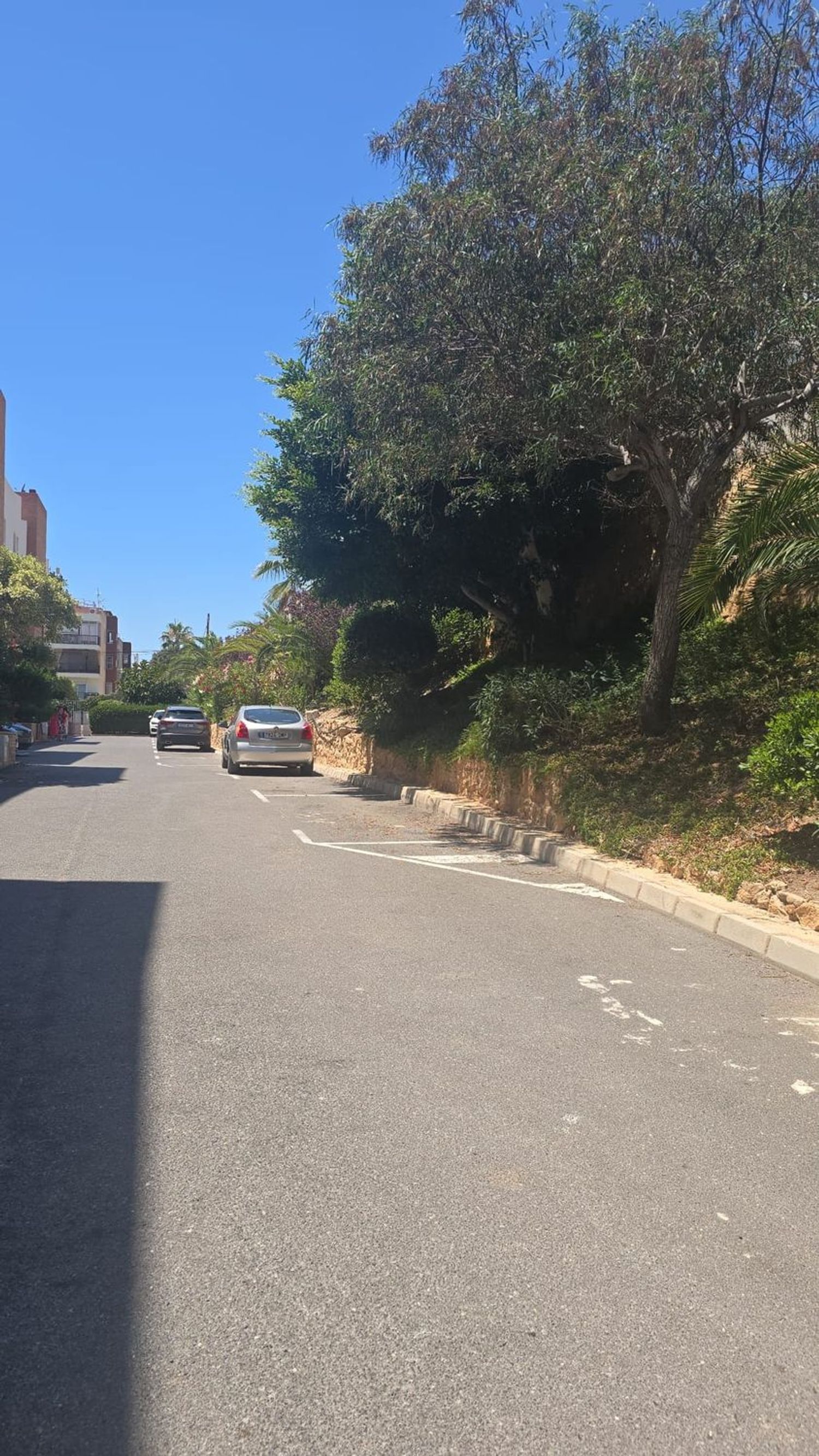 Piso en Avenida Oscar Espla, 15, Calas de Santa Pola este, Calas de Santa Pola este - Foto 21