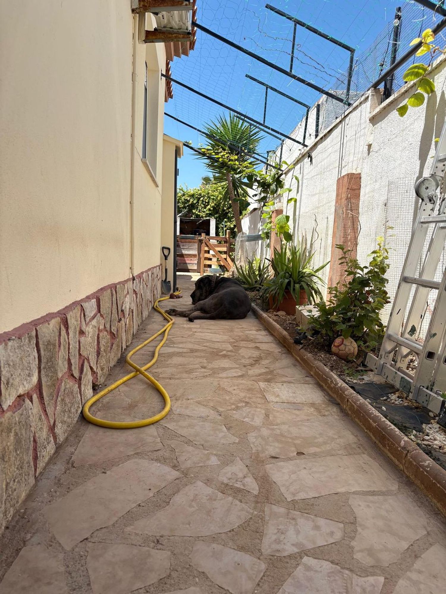 Casa o chalet independiente en Calle del Lliri, 20, Zona Boverals, Zona Boverals - Foto 33