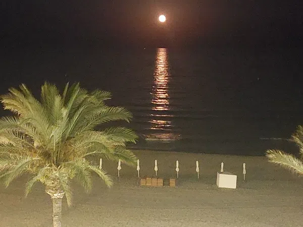 Piso en Avenida Jaime I el Conquistador, 33, Playa Muchavista, Playa Muchavista - Foto 7