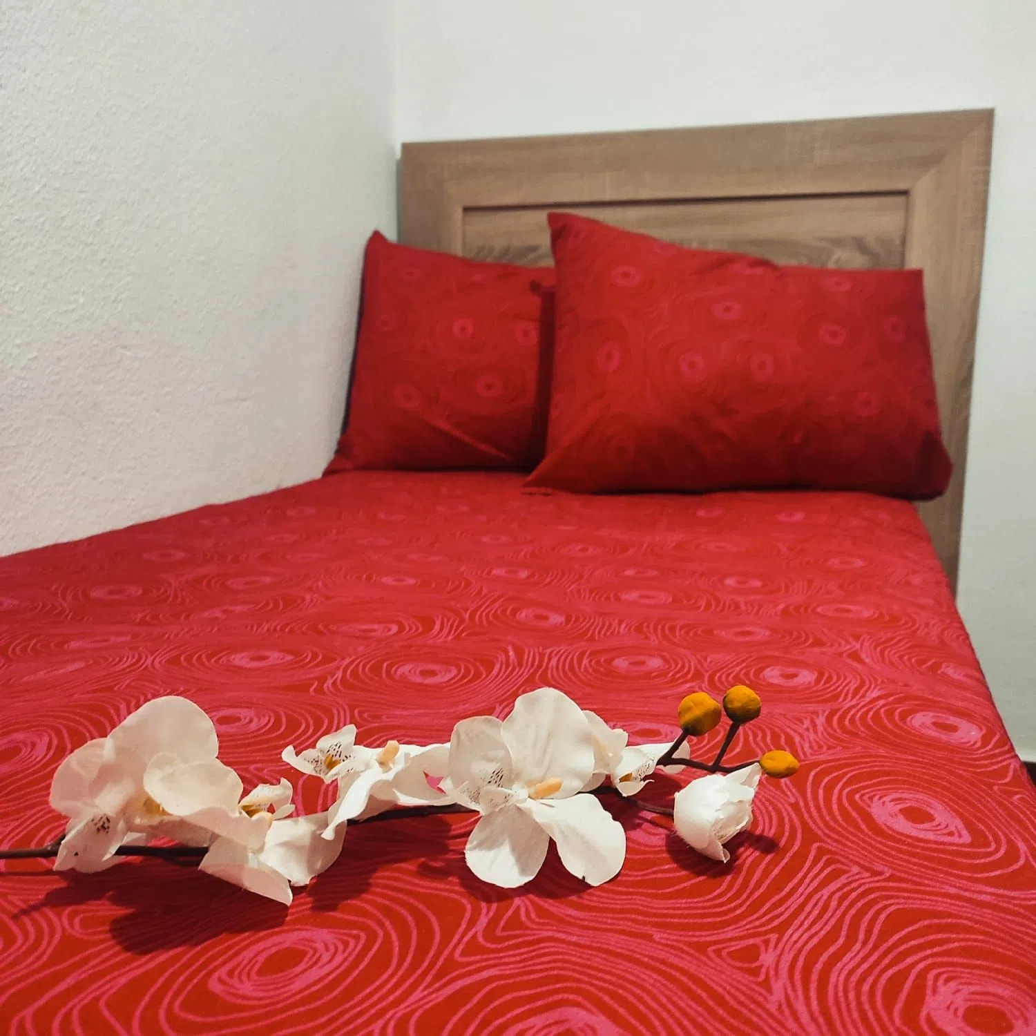 Piso en Reyes Católicos, 20 - Foto 4