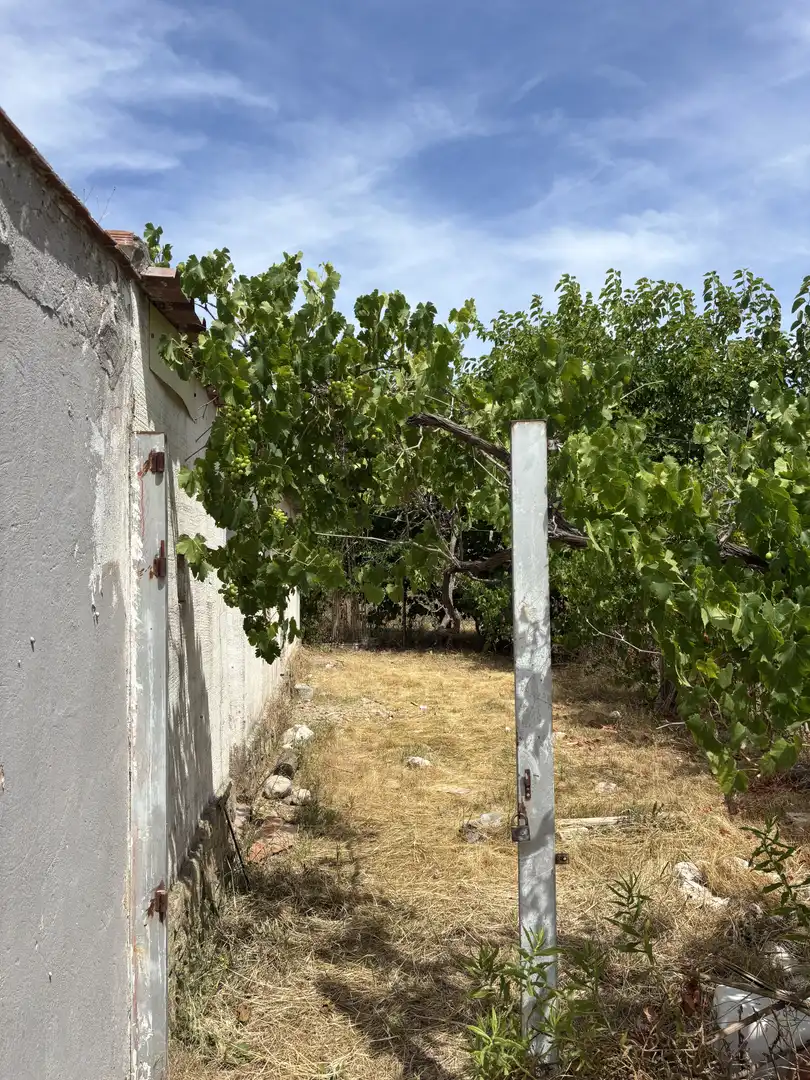 Finca rústica en  Carrer d'Honorat Gil 10 - Foto 7