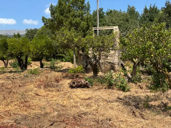Finca rústica en Santuiri, 2 poligonoparcela, Pollença, Pollença - Foto 20