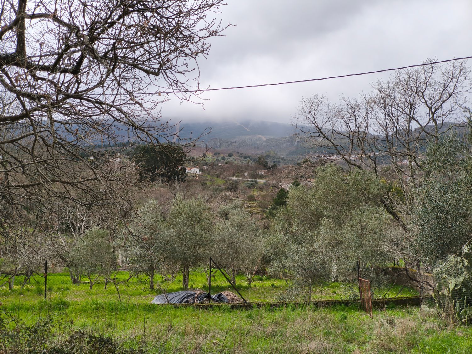 Finca rústica en Poblado los Arroyos de Abajo, 39 poligonoparcela - Foto 32