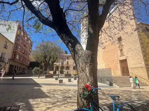 Piso en  Carrer del Cop 3 - Foto 14