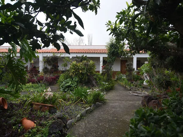 Casa terrera en Calle la Caridad, 1, Tacoronte - Los Naranjeros, Tacoronte - Los Naranjeros - Foto 12