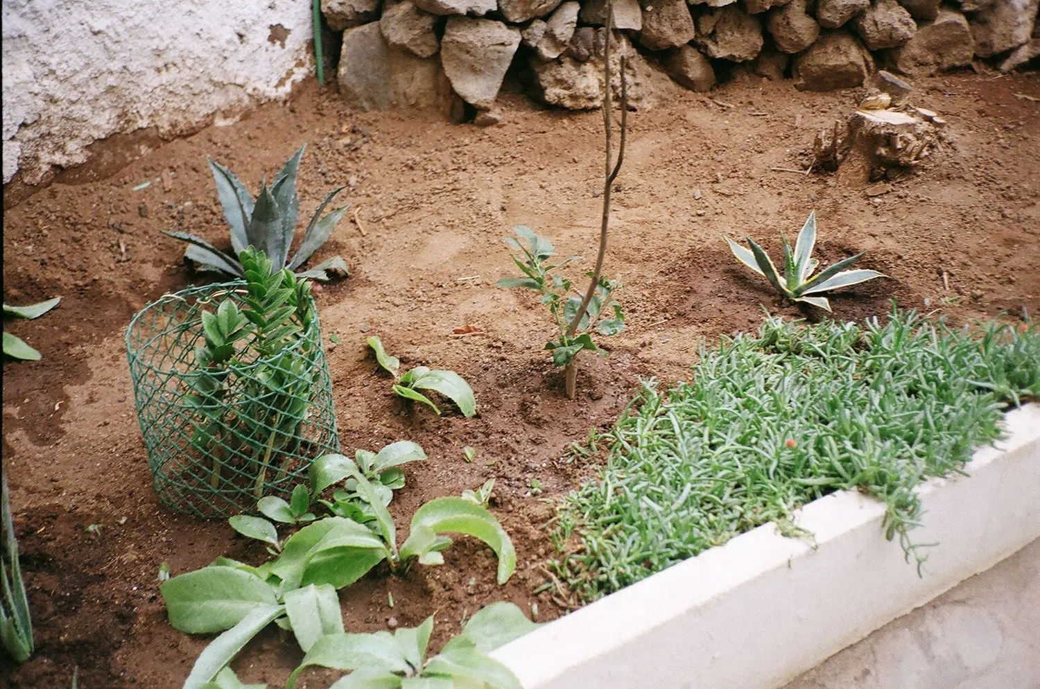 Piso en calle Bélgica, 2 - Foto 15