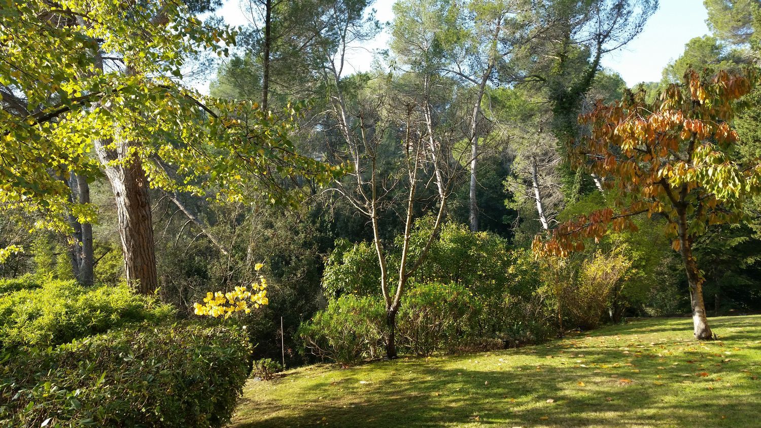 Ático en Eixample - Foto 18