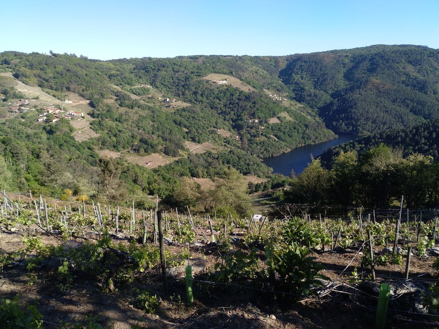 Casa rural en a Veitureira, Santa Mariña de Rosende s/n - Foto 6