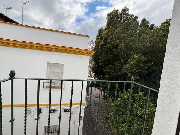 Estudio en calle Alfarería, 140 - Foto 10