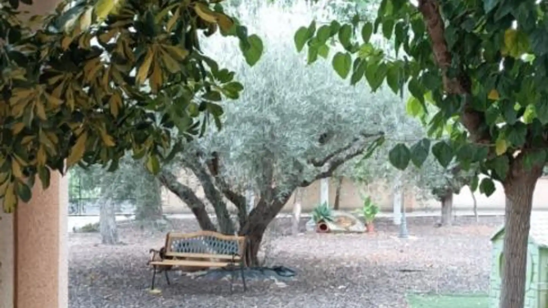 Finca rústica en  Camino del Pino 8 - Foto 1