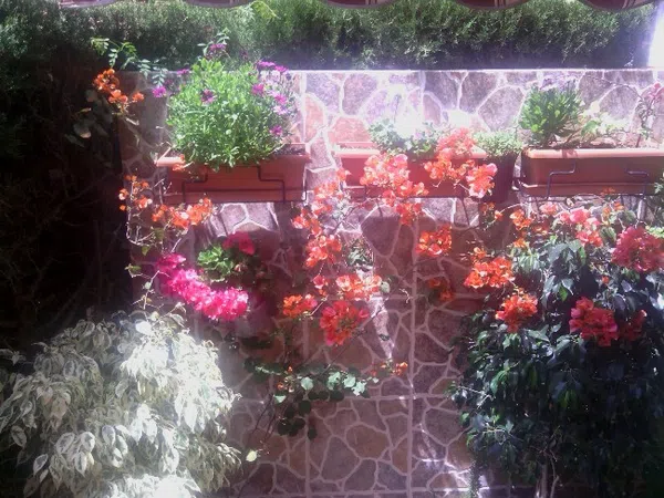 Chalet pareado en Calle de la Bonanova, 1 - Foto 10