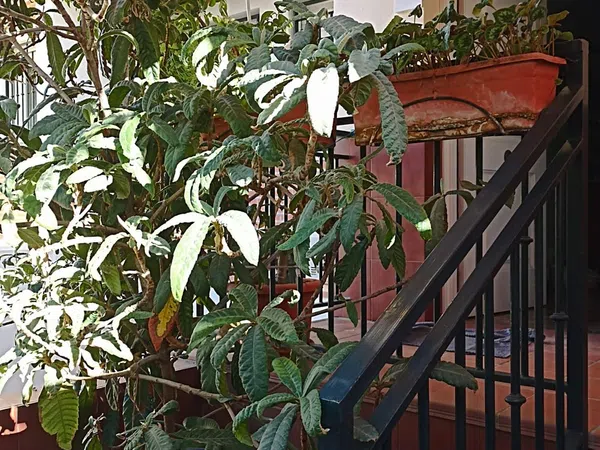 Chalet adosado en calle Perete, 14 - Foto 1