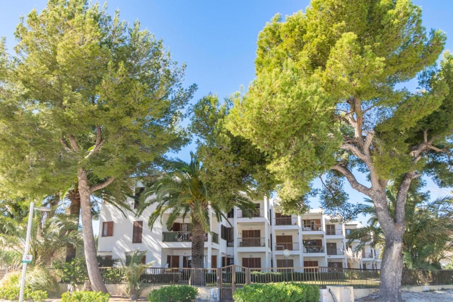 Piso en Port d'Alcúdia - Platja d'Alcúdia - Foto 2