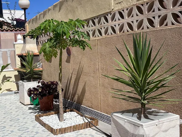 Chalet adosado en Calle Francisco Diez Martinez, 68, La Siesta - El Salado - Torreta - Foto 20
