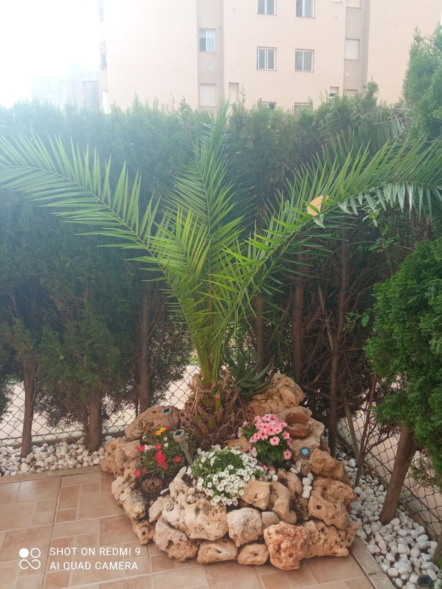 Piso en Calle Teodoro Llorente, 16, Campoamor - Foto 8