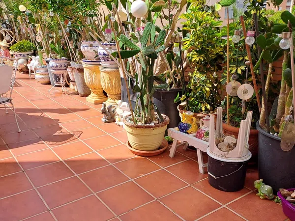 Piso en Calle Riu Segura, 18, Zona Pueblo, Zona Pueblo - Foto 18