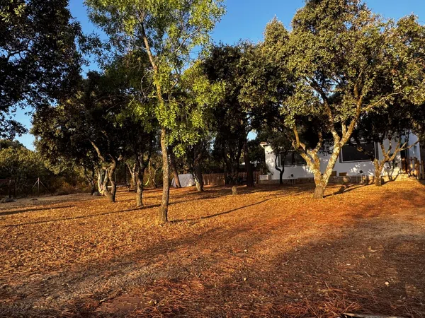 Casa o chalet independiente en Calle Lepanto, 11, Mojadillas - Parque de las Infantas - El Paraiso, Mojadillas - Parque de las Infantas - El Paraiso - Foto 13