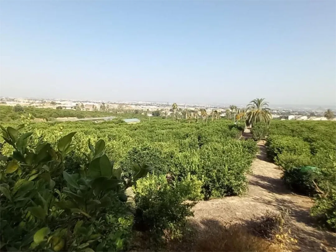 Piso en  Camino de Monteazahar 63 - Foto 17