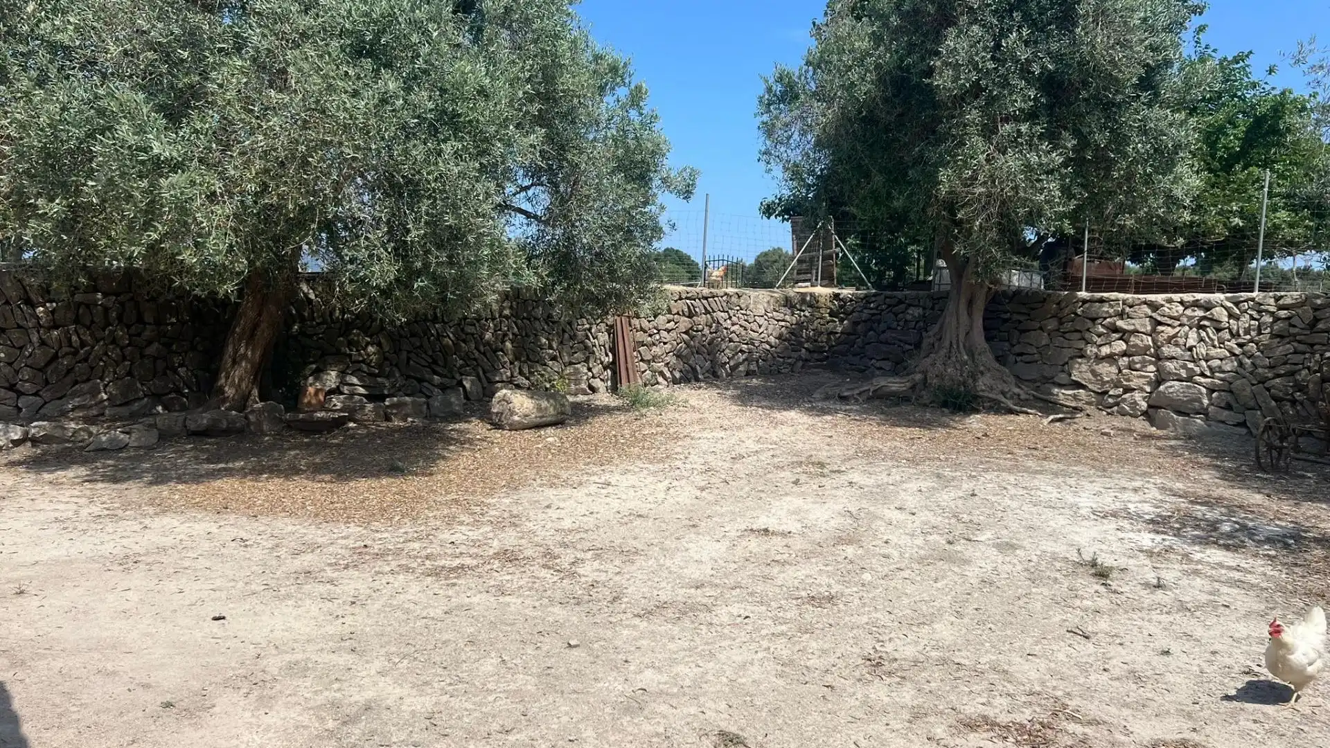 Finca rústica en - Foto 2