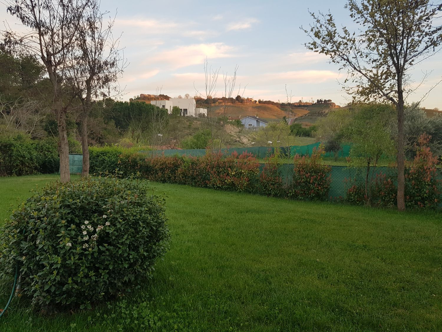 Casa o chalet independiente en Altos de Jarama, Altos de Jarama - Foto 15