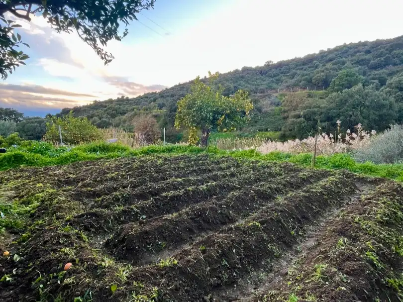 Finca rústica en  Diseminado Pedregales 180 - Foto 8