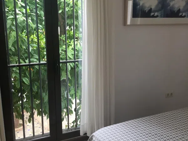 Piso en Calle Agua, 8, Santa Cruz - Alfalfa - Foto 12