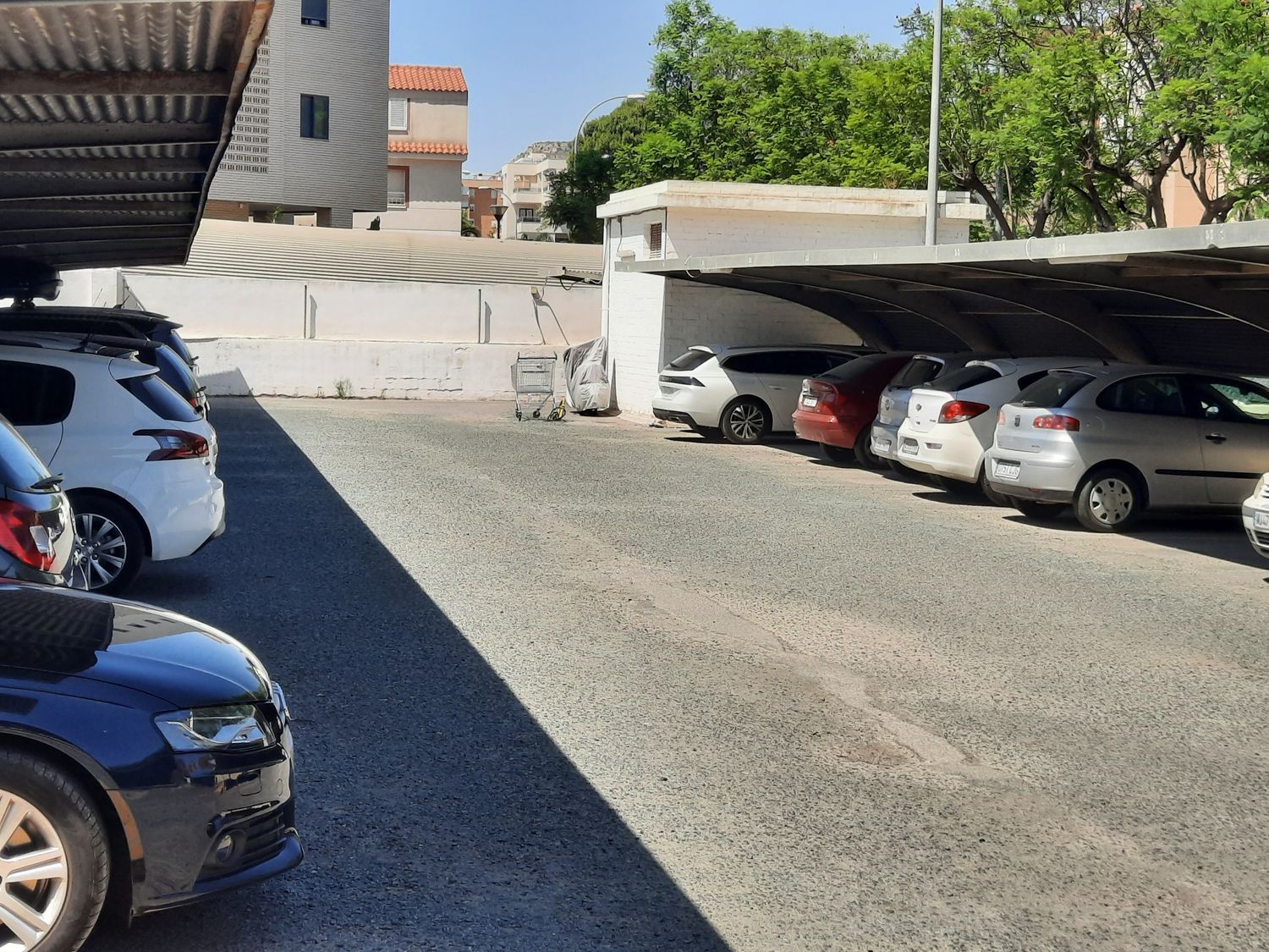 Piso en Colonia Romana, 22, La Albufereta - Foto 25