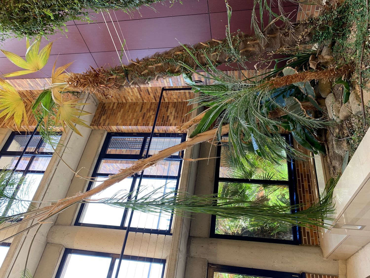 Piso en calle Sierra Pajarejo, 5 - Foto 6