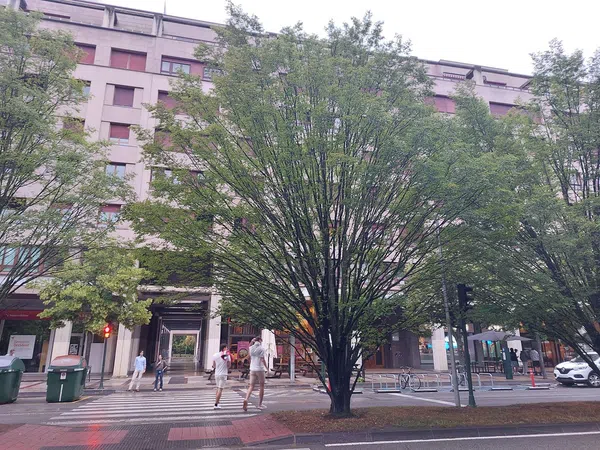 Piso en Avenida de Pío XII, 24, Iturrama, Iturrama - Foto 2