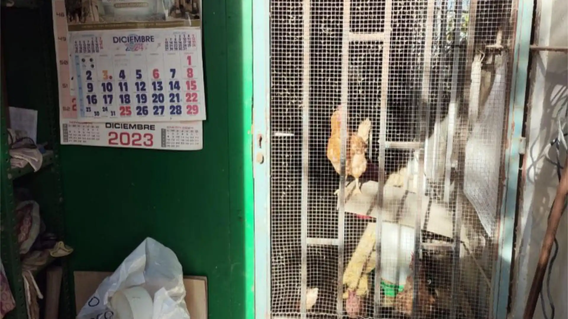 Chalet en  Camino de Cascajales 23 - Foto 18