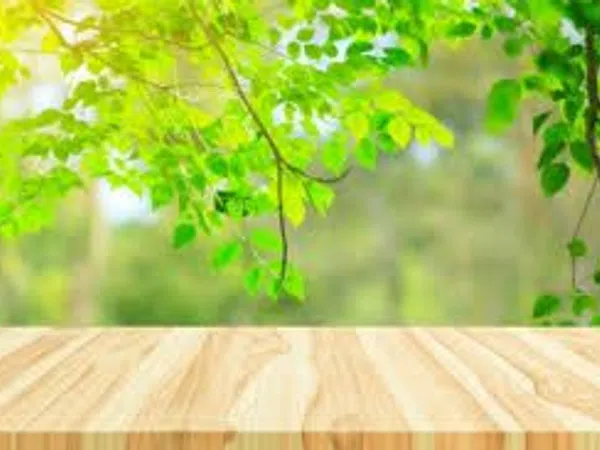 Piso en rambla de Prim, 160 - Foto 2