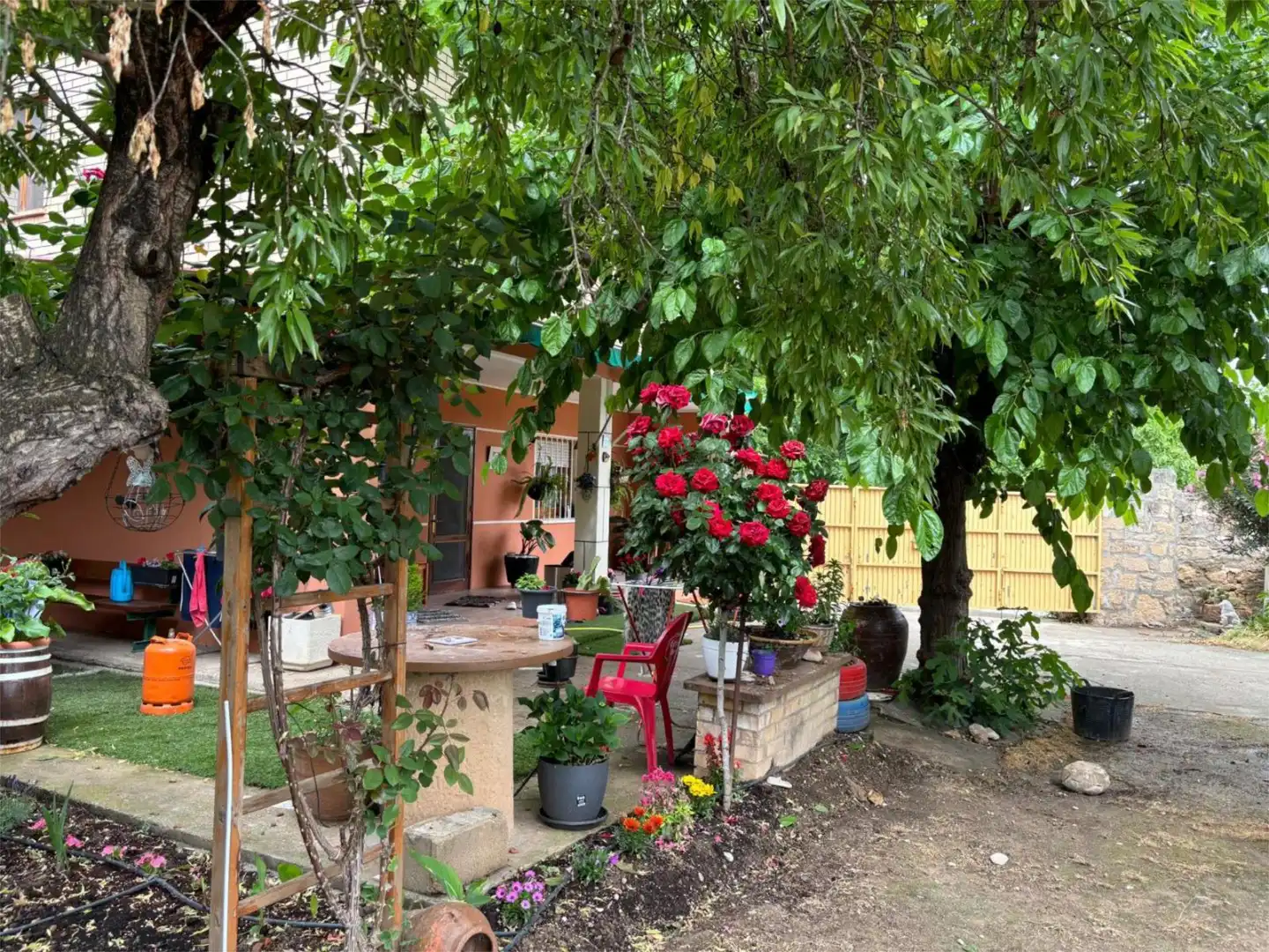 Finca rústica en  Calle Palomar 2 - Foto 3