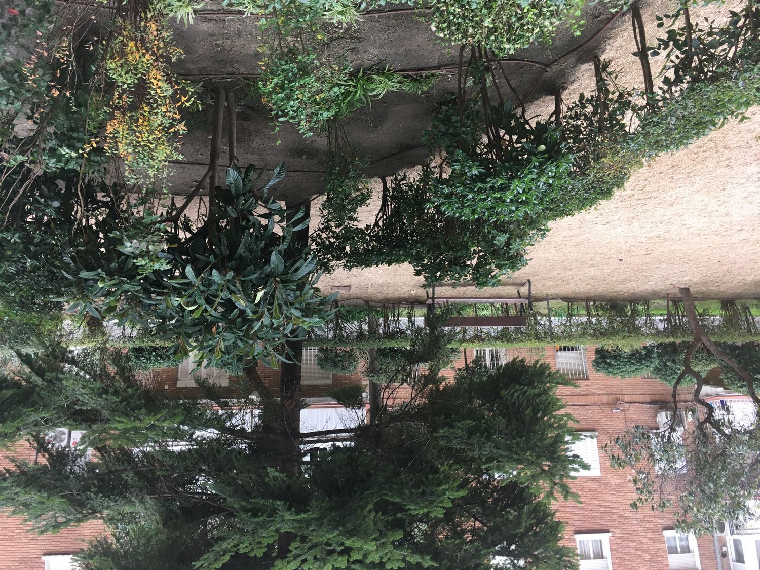 Piso en calle de Ricardo Ortiz, 33 - Foto 1