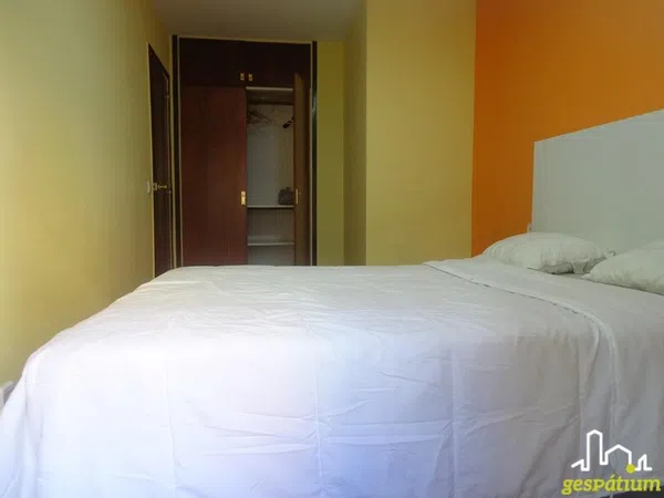 Piso en Plana de l'Hospital, Centre - Estació, Centre - Estació - Foto 17