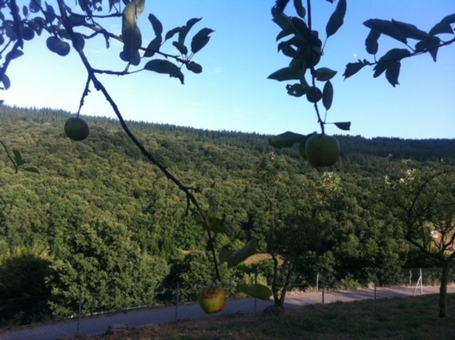 Finca rústica en Tineo - Foto 17