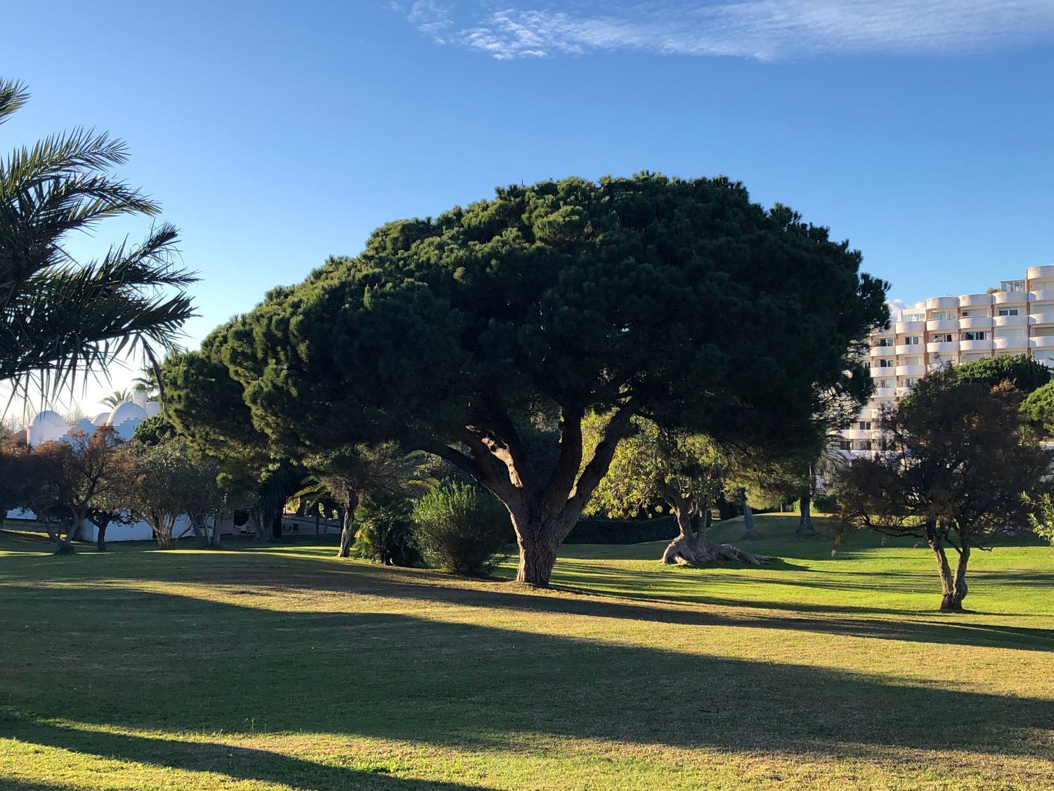 Piso en cuesta Correa, 1 - Foto 26