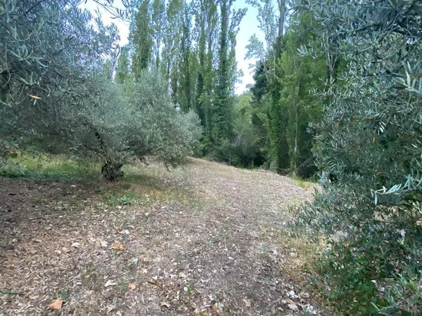 Finca rústica en Sn s/n - Foto 20