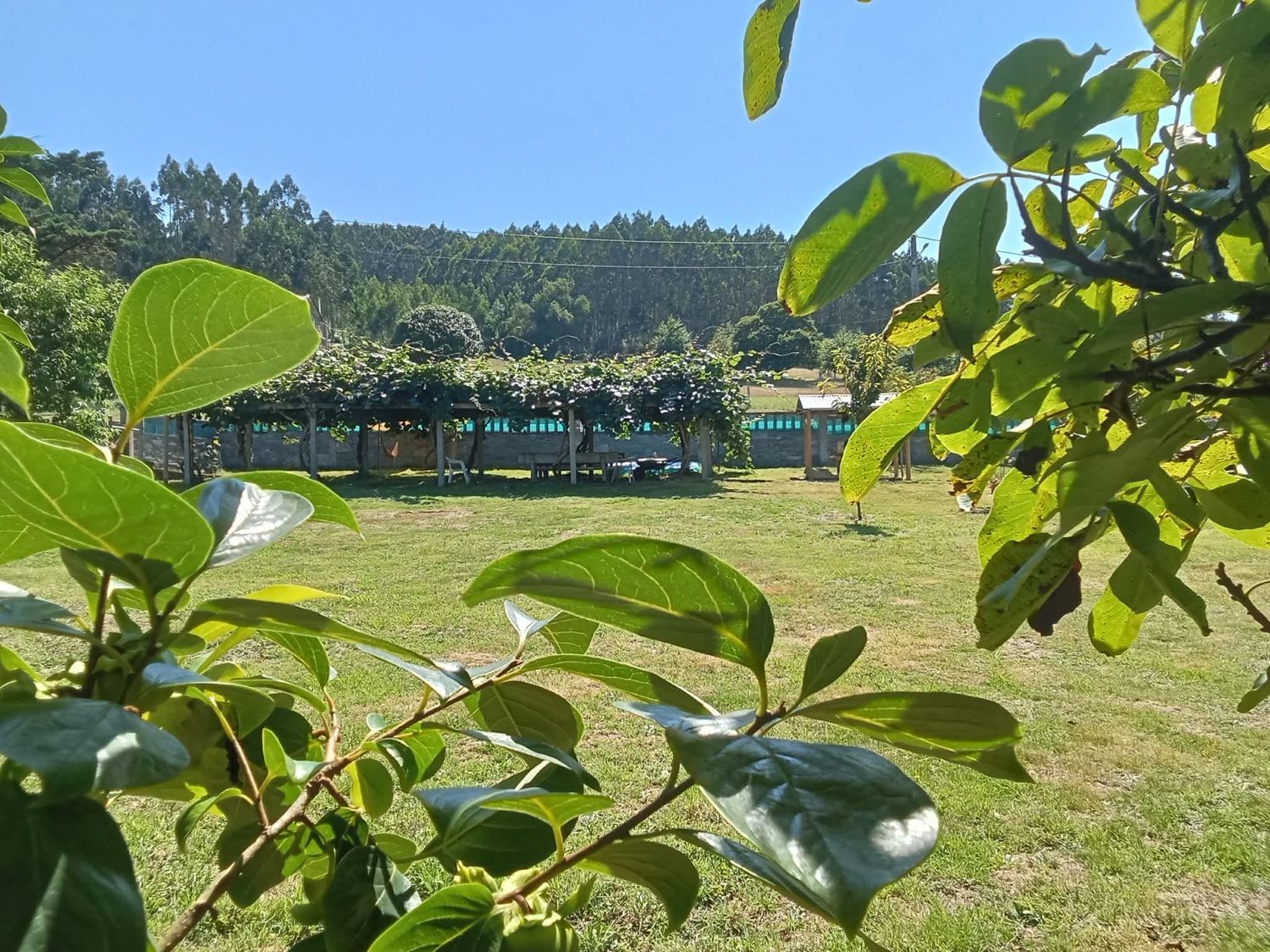 Casa o chalet independiente en Zarza, 2 - Foto 20