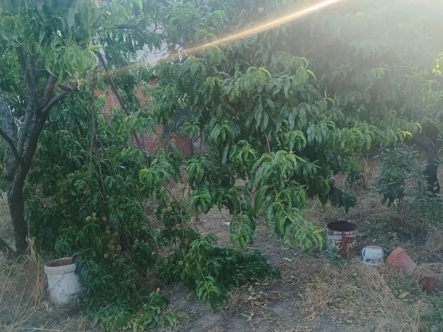 Planta baja en  Calle Peligro 15 - Foto 3