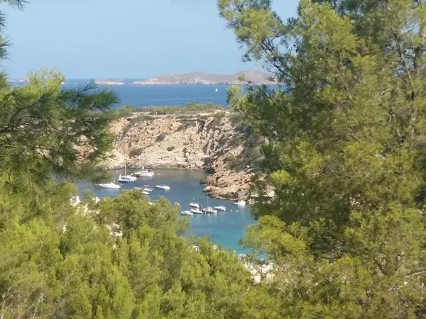 Estudio en Calle Calvià, 35, Cala Vedella - Cala Tarida - Cala Conta, Cala Vedella - Cala Tarida - Cala Conta - Foto 16